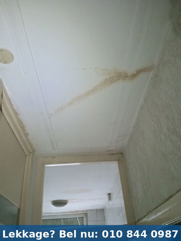 Vochtmeting met professionele meters - casus-badkamer-rotterdam-beukelsdijk