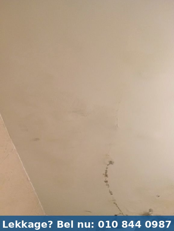 Lekdetectie onderzoek Rotterdam