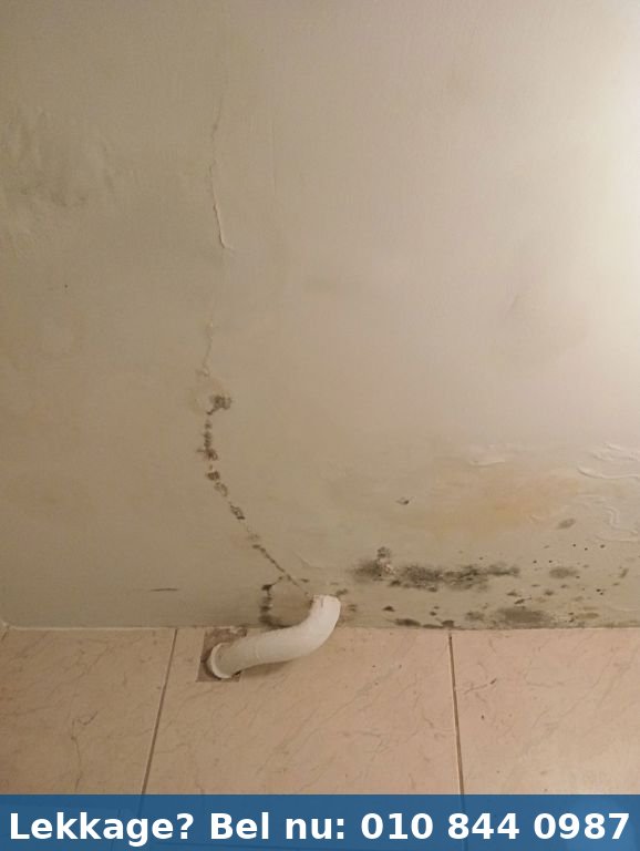 Lekdetectie onderzoek Rotterdam