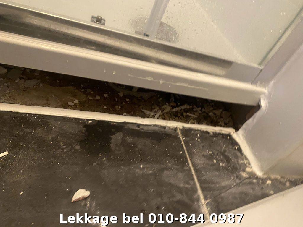 Lekdetectie foto Rotterdam