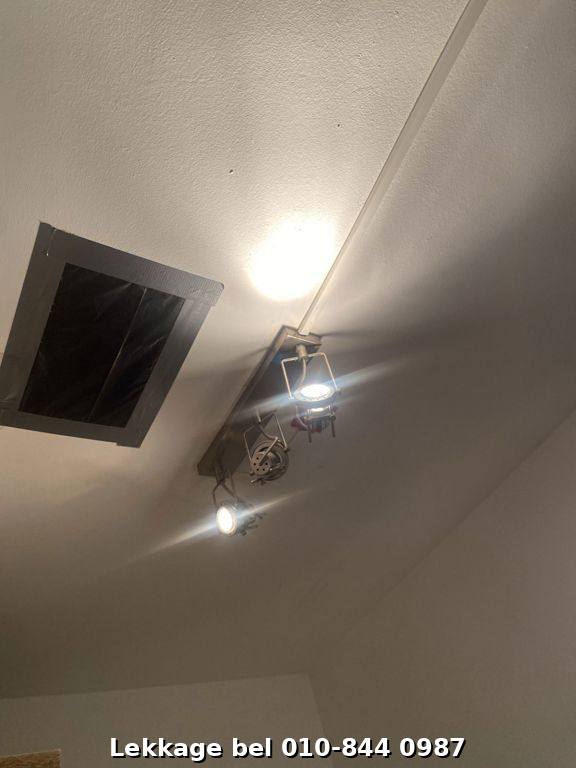 Lekdetectie foto Rotterdam