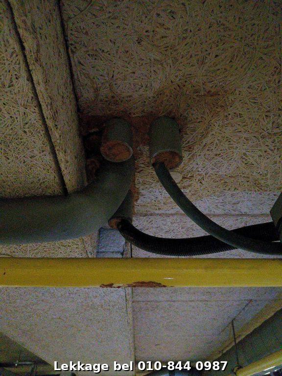 Lekdetectie foto Rotterdam