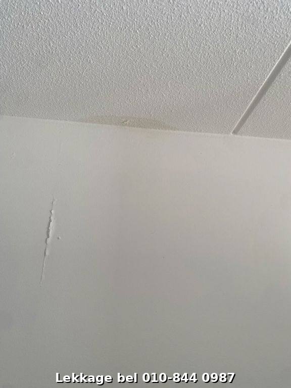 Lekdetectie foto Rotterdam