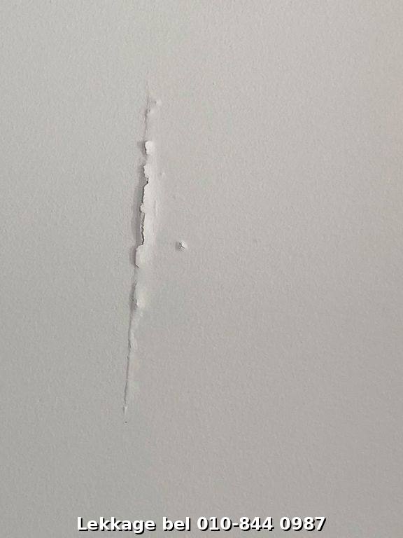 Lekdetectie foto Rotterdam