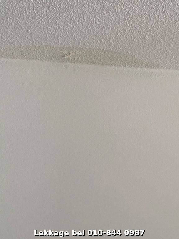 Lekdetectie foto Rotterdam