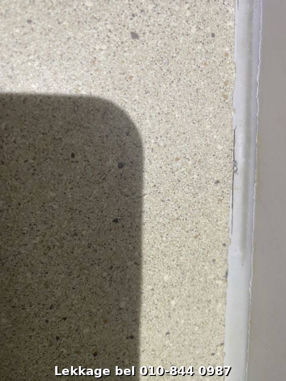 Lekdetectie foto Rotterdam