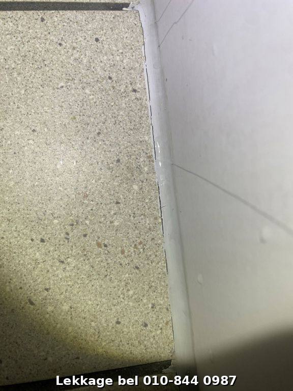 Lekdetectie foto Rotterdam