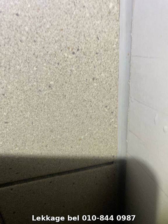 Lekdetectie foto Rotterdam