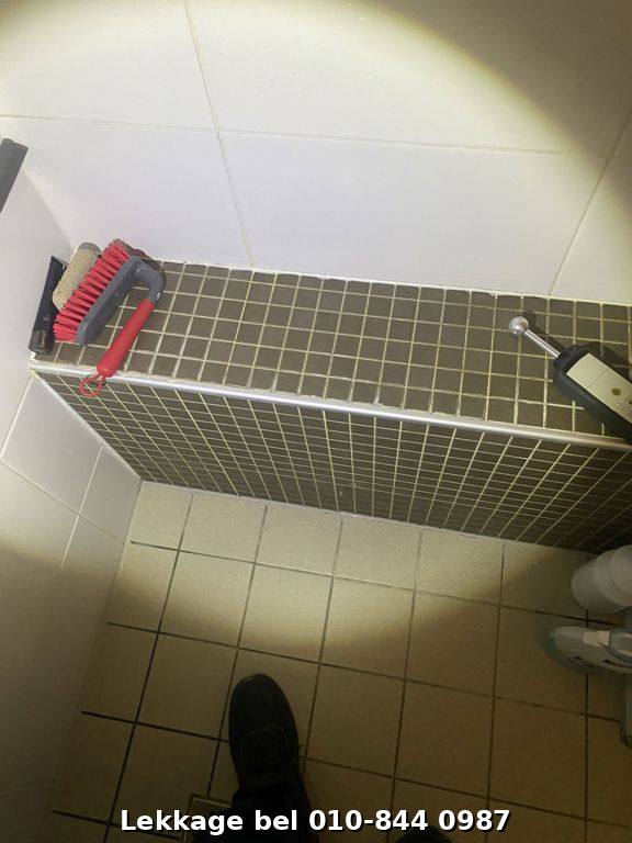 Lekdetectie foto Rotterdam