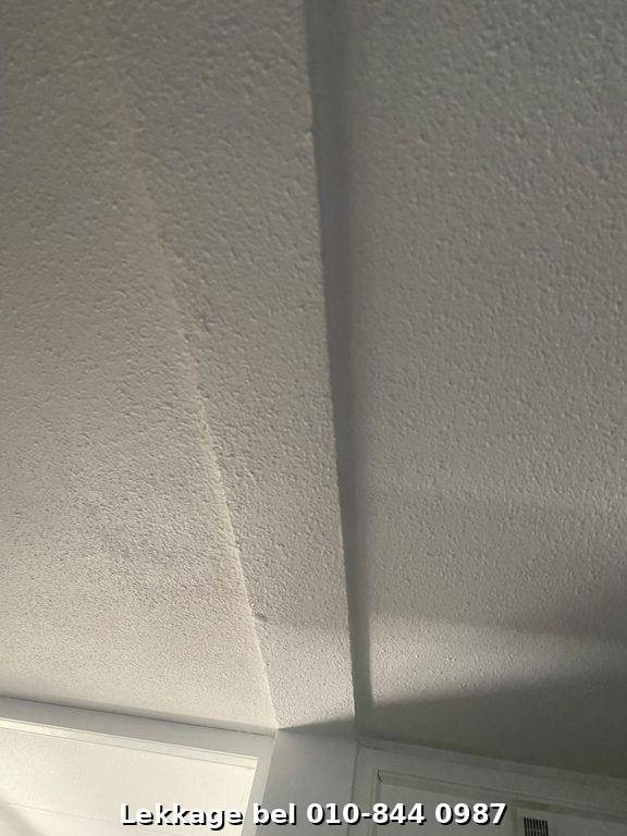 Lekdetectie foto Rotterdam