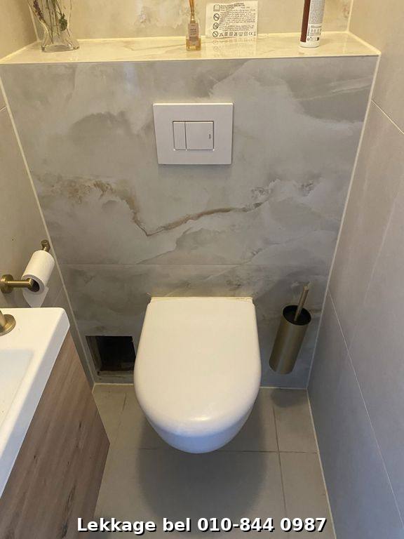 Lekdetectie foto Rotterdam