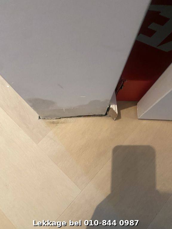 Lekdetectie foto Rotterdam