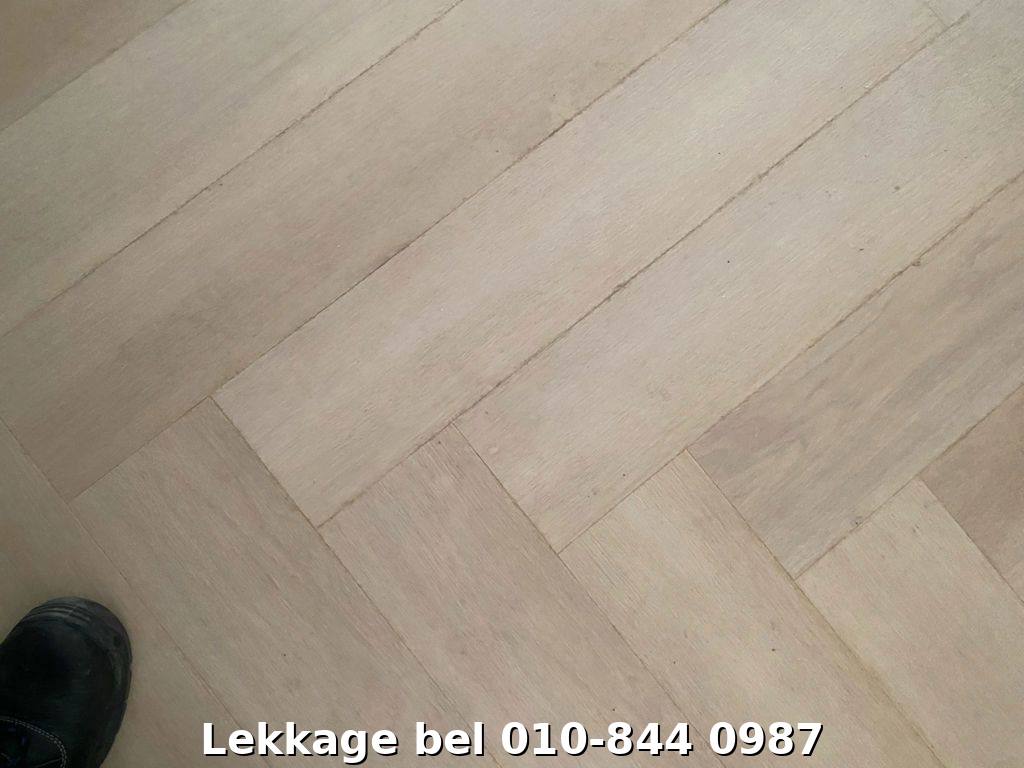 Lekdetectie foto Rotterdam