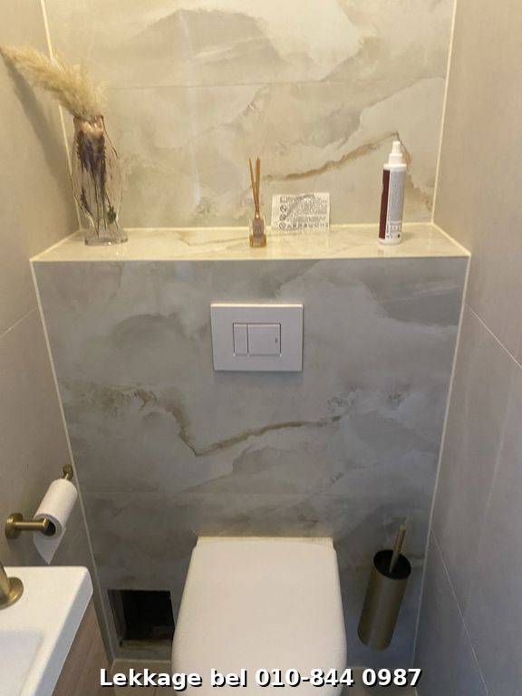 Lekdetectie foto Rotterdam