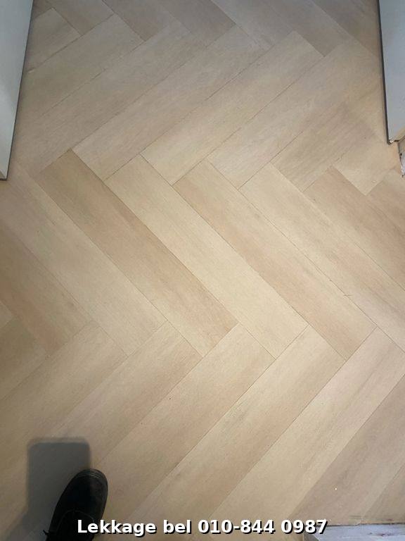 Lekdetectie foto Rotterdam