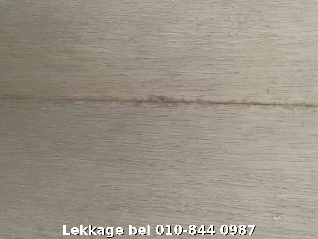 Lekdetectie foto Rotterdam