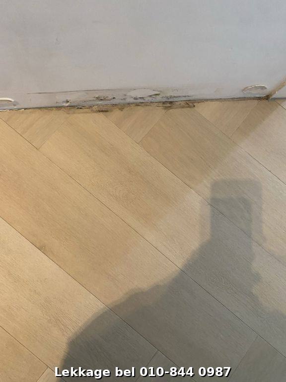 Lekdetectie foto Rotterdam