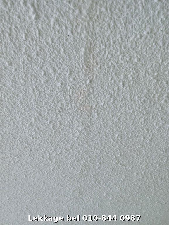 Lekdetectie foto Rotterdam Ommoord