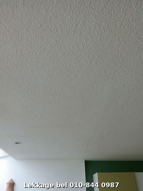 Lekdetectie foto Rotterdam Ommoord