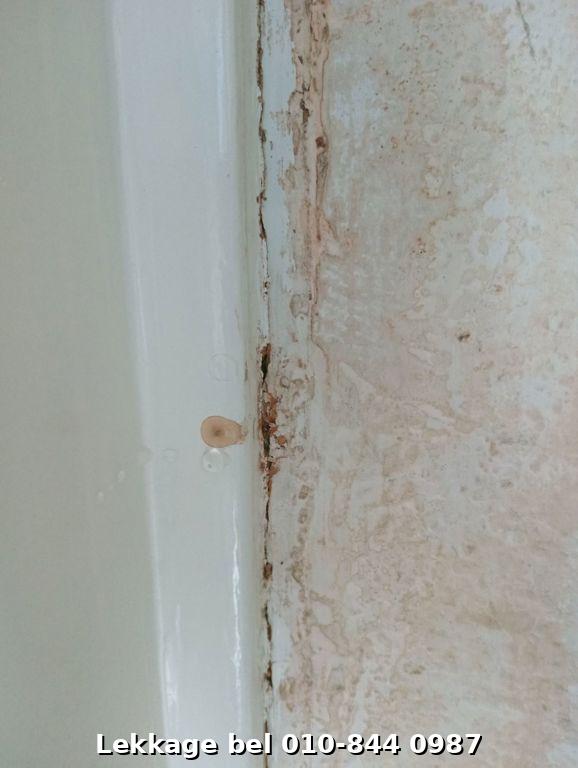 Lekdetectie foto Rotterdam Ommoord